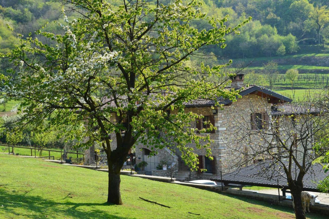 Bed and Breakfast Cascina Valsorda Concesio Экстерьер фото